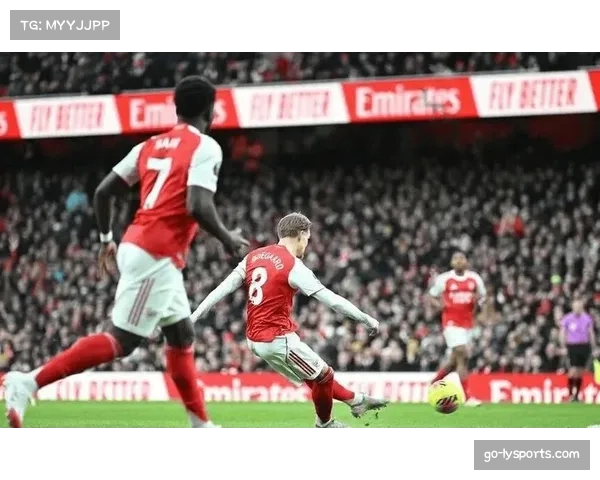 伯恩茅斯客场逆转埃弗顿 樱桃军团客场韧性获提升